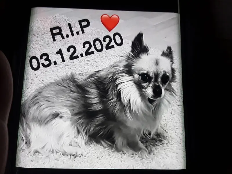 Condolence image of Unbekannt