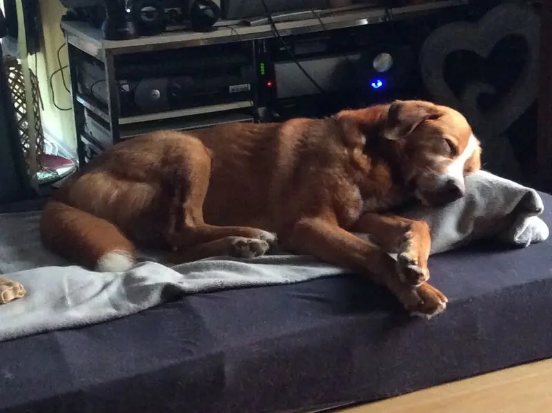 Condolence image of Kay und Rony
