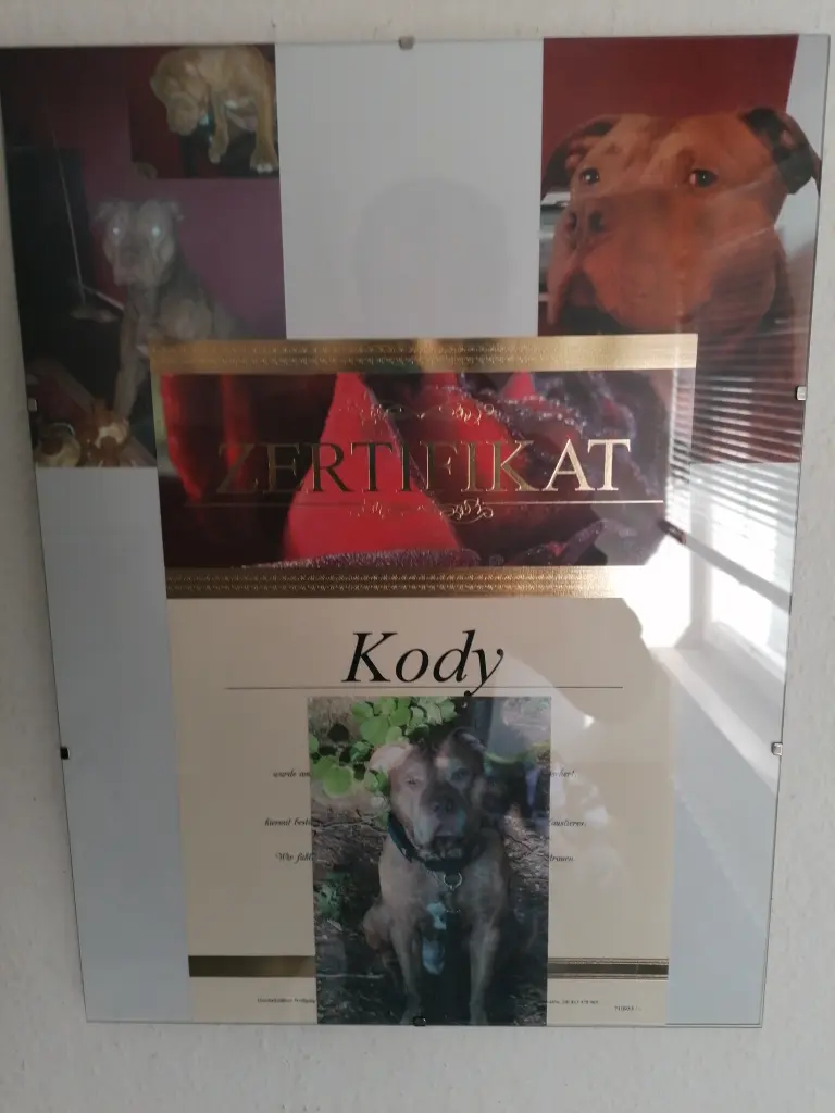 Image from KODY