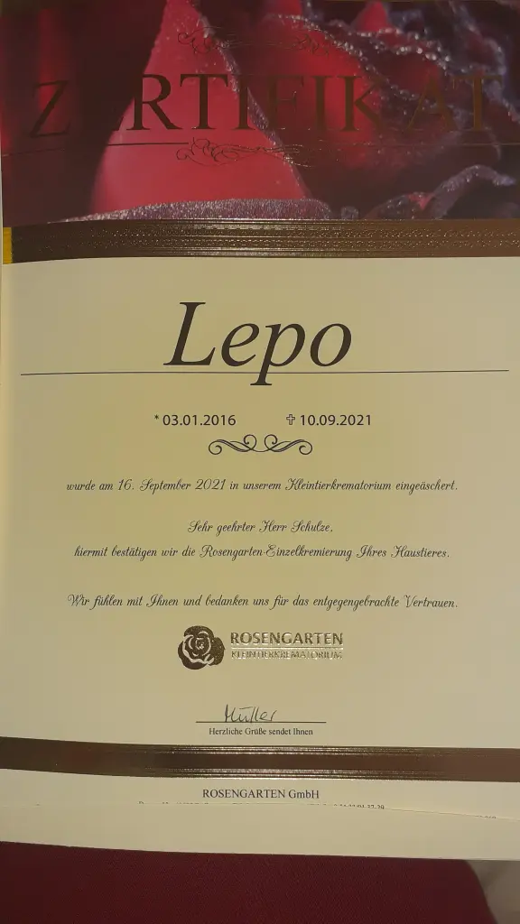 Bild von Lepo