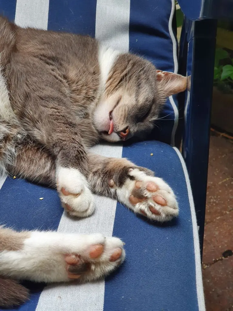 Andachtsbild von Jenny