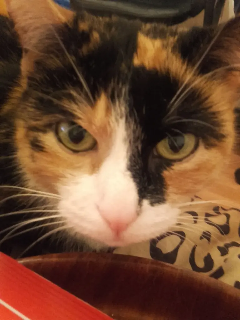 Andachtsbild von Annika Küpper