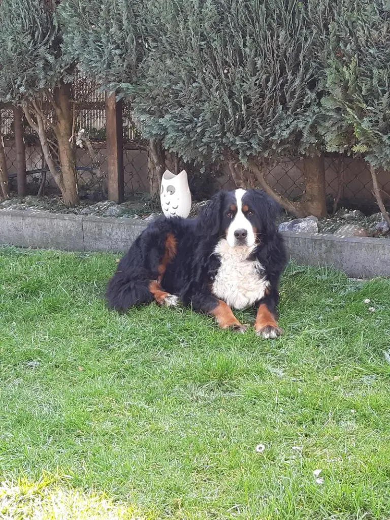 Andachtsbild von Barbara Wegner