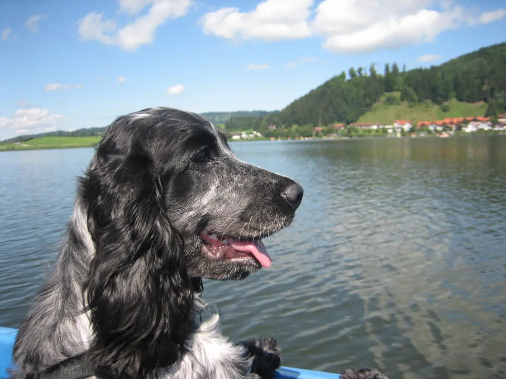 Andachtsbild von Gerda