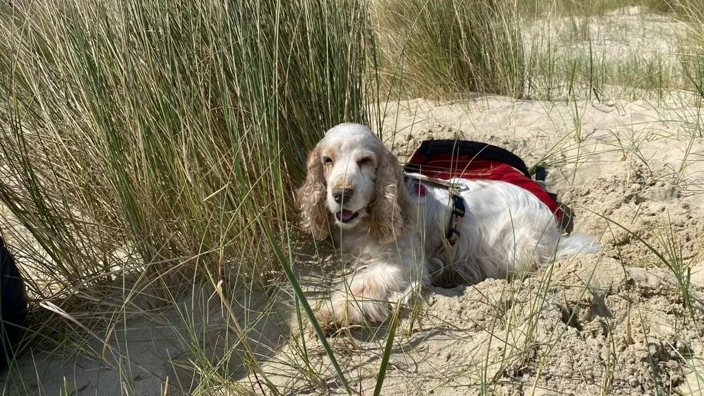 Andachtsbild von Gerda