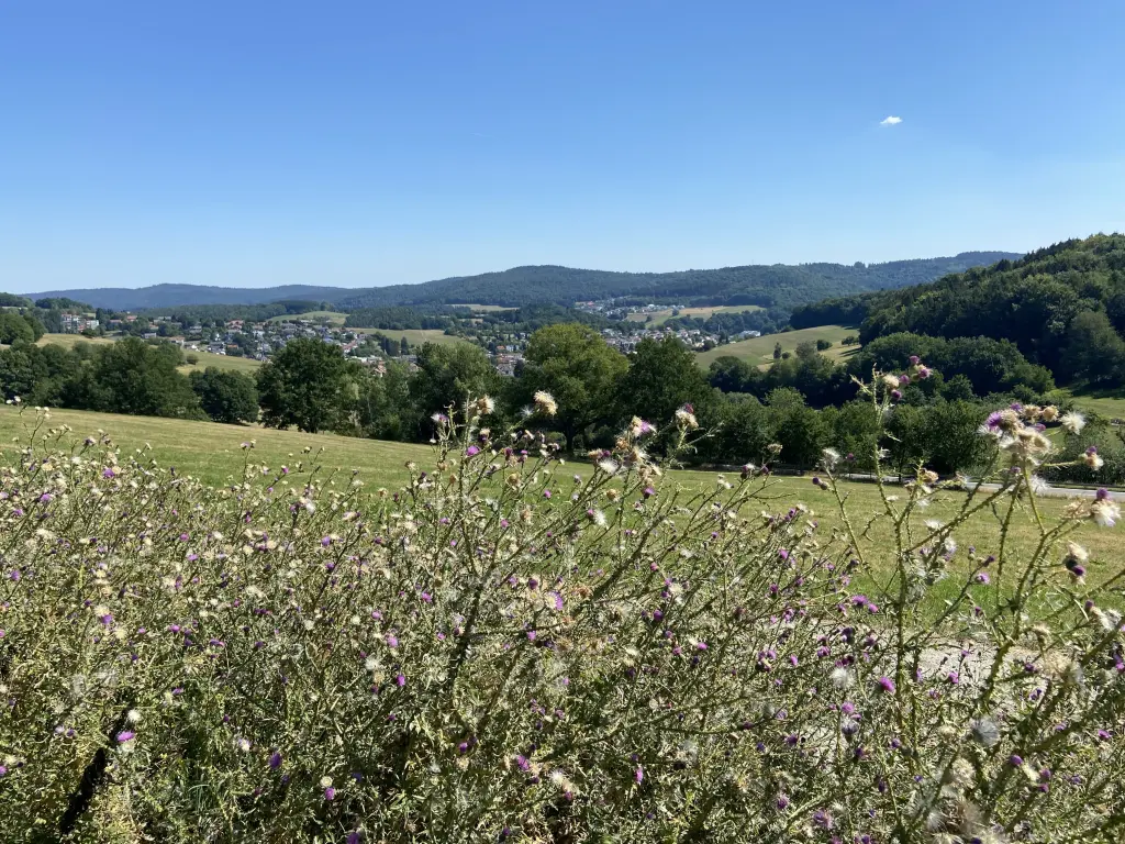 Andachtsbild von Gerda