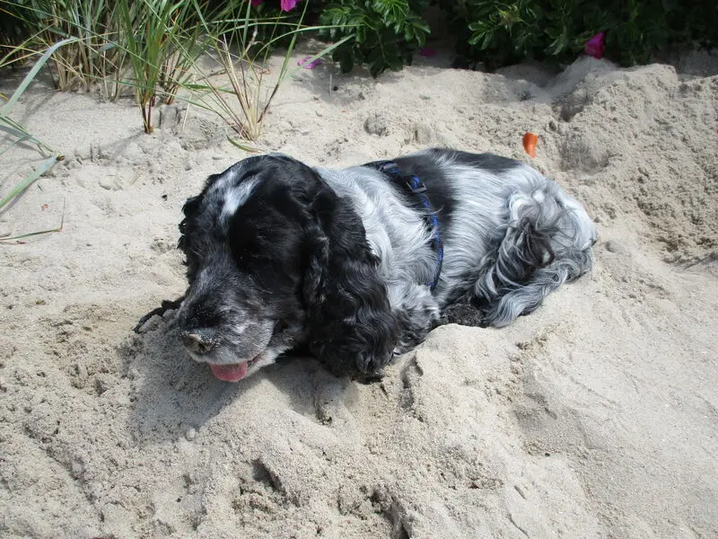 Andachtsbild von Gerda