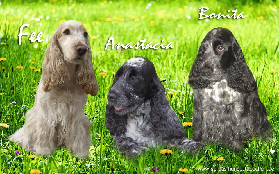 Andachtsbild von von Frauchen, Herrchen und Juleen