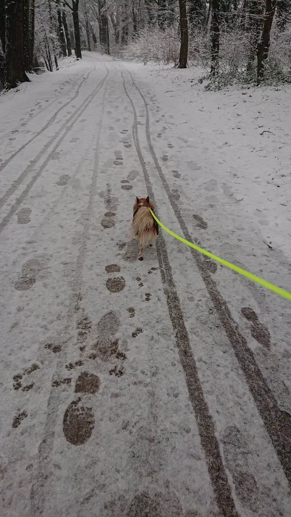 Andachtsbild von Ina Erberich