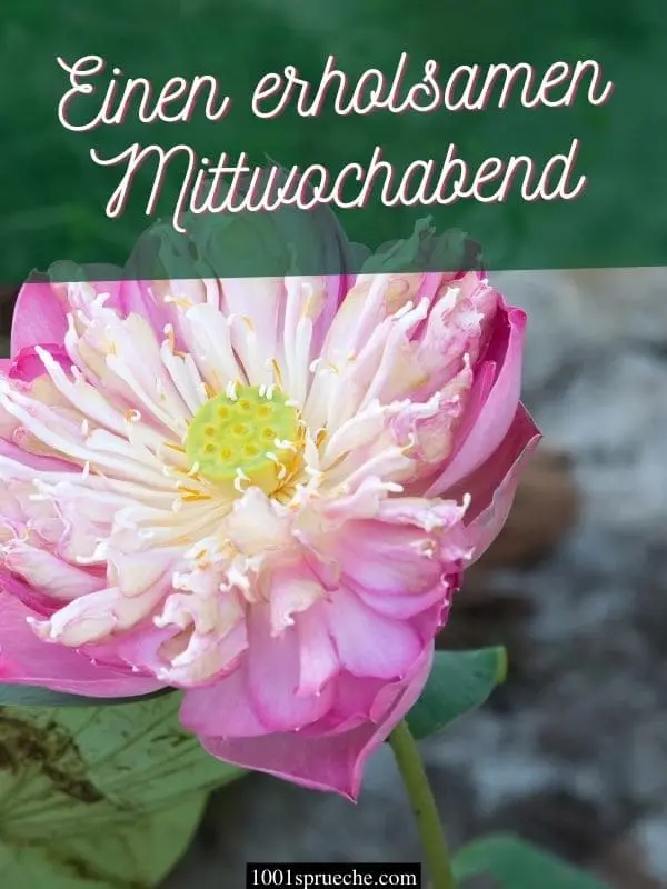 Andachtsbild von Ina Erberich