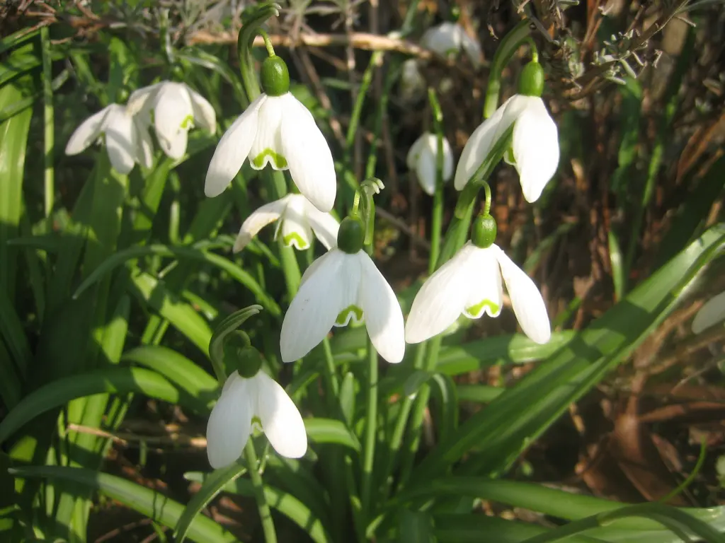 Andachtsbild von Gerda mit Bonita tief im Herzen