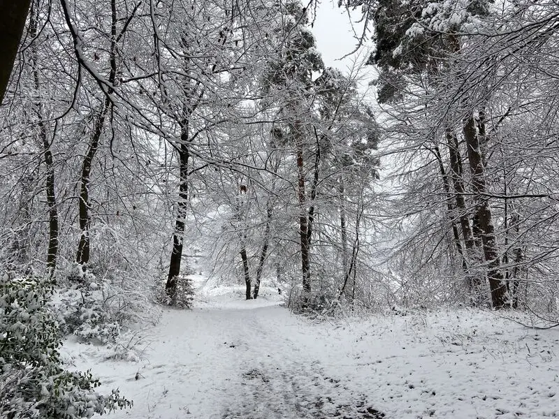 Andachtsbild von Gerda mit Bonita tief im Herzen