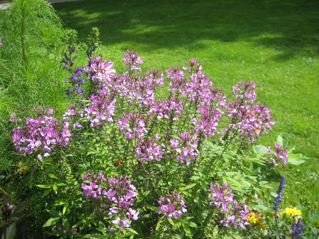 Andachtsbild von Gerda mit Bonita