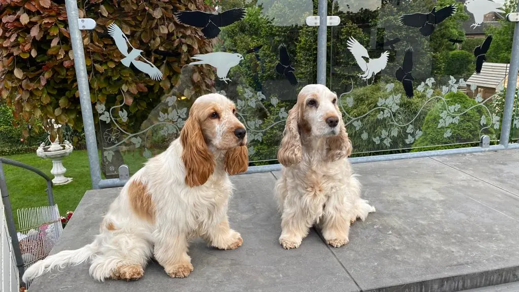 Andachtsbild von Wochenendgruß