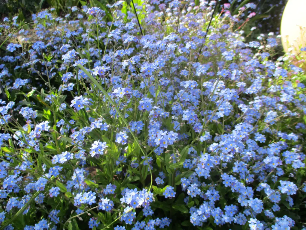 Andachtsbild von Gerda und Hubert