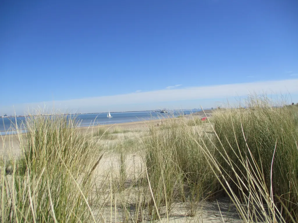 Andachtsbild von Bonita