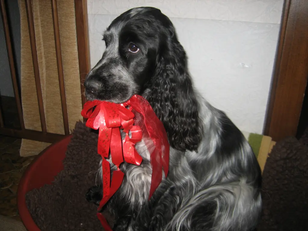 Andachtsbild von Gerda und Hubert