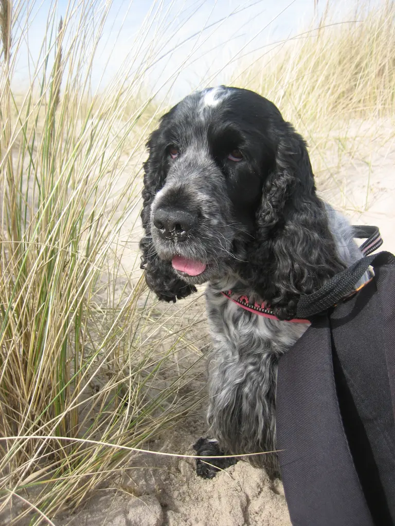 Andachtsbild von Gerda und Hubert