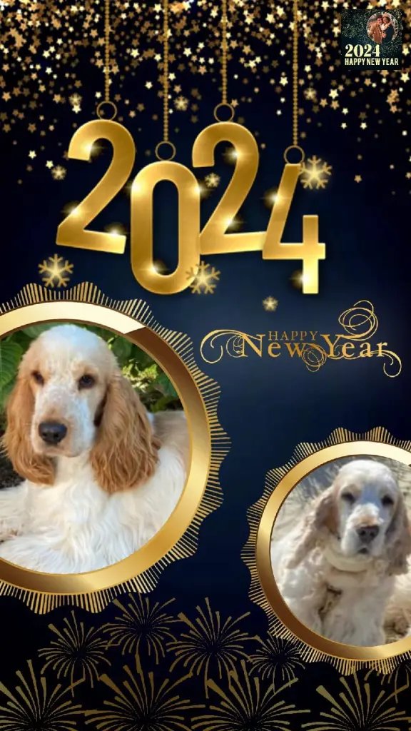 Andachtsbild von Deine Freundinnen Juleen und Sunny