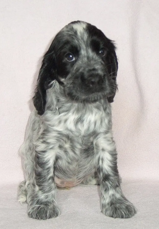 Bild von Bonita