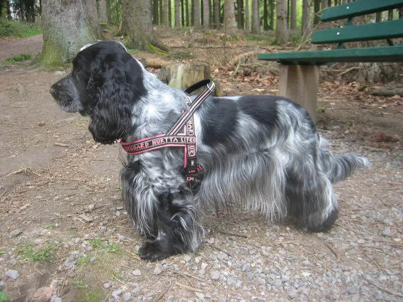 Bild von Bonita
