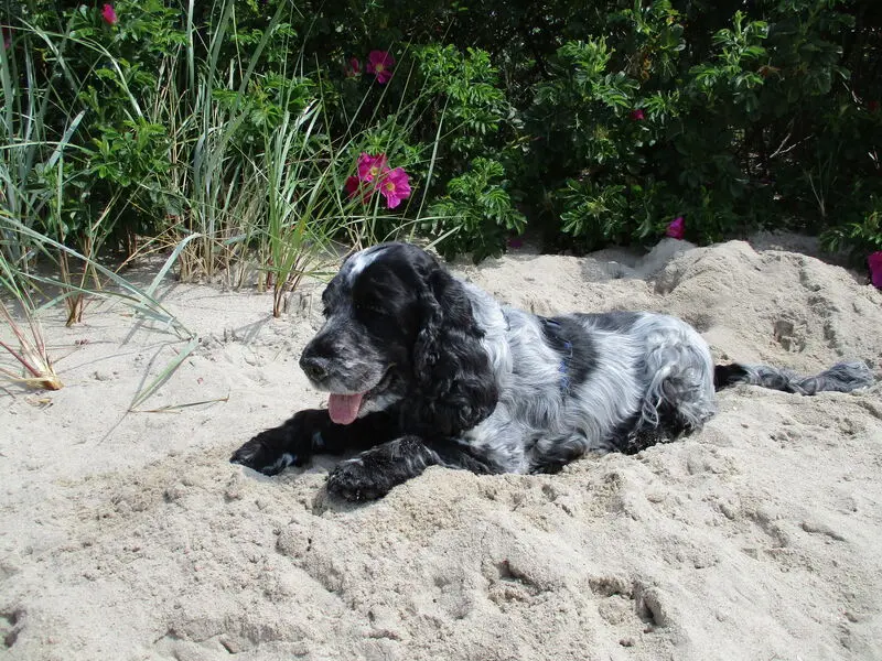 Bild von Bonita