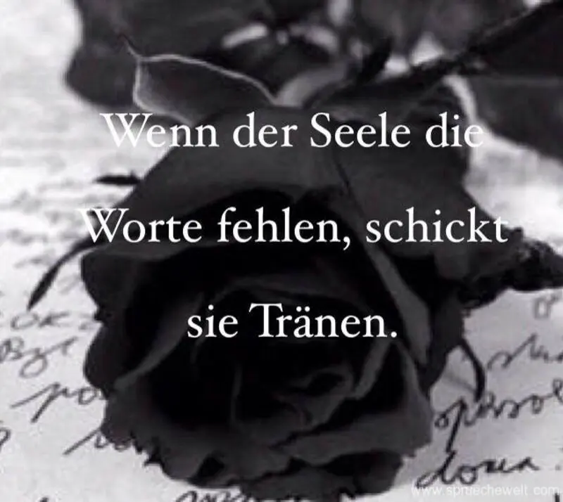 Condolence image of Unbekannt