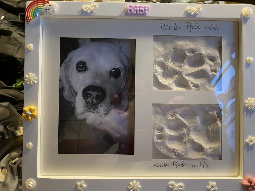 Image from Snoopy