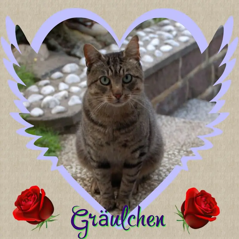 Condolence image of ❤Eike und Edeltraud mit Mulle, Miezi, Jonny, Felix, Lemmi, Tommi und Kira tief im Herzen ❤ ❤ ❤ ❤ ❤ ❤ ❤