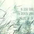 Condolence image of ❤️♥★ Gräuli ❤️ zum Gedenken - 13 Wochen ★♥❤️