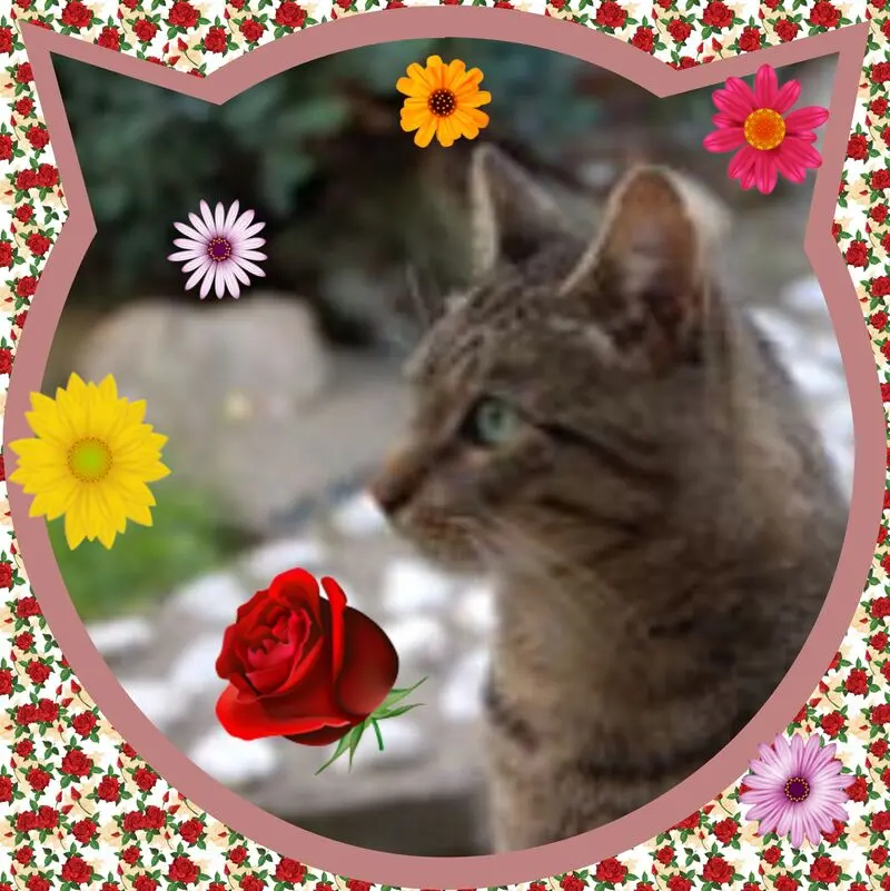 Condolence image of ❤Eike und Edeltraud mit unseren Sternchen ❤