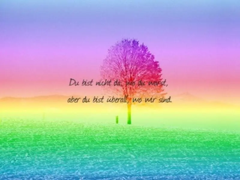 Condolence image of ❤️♥★ Gräuli ❤️ zum Gedenken - 21 Wochen ★♥❤️