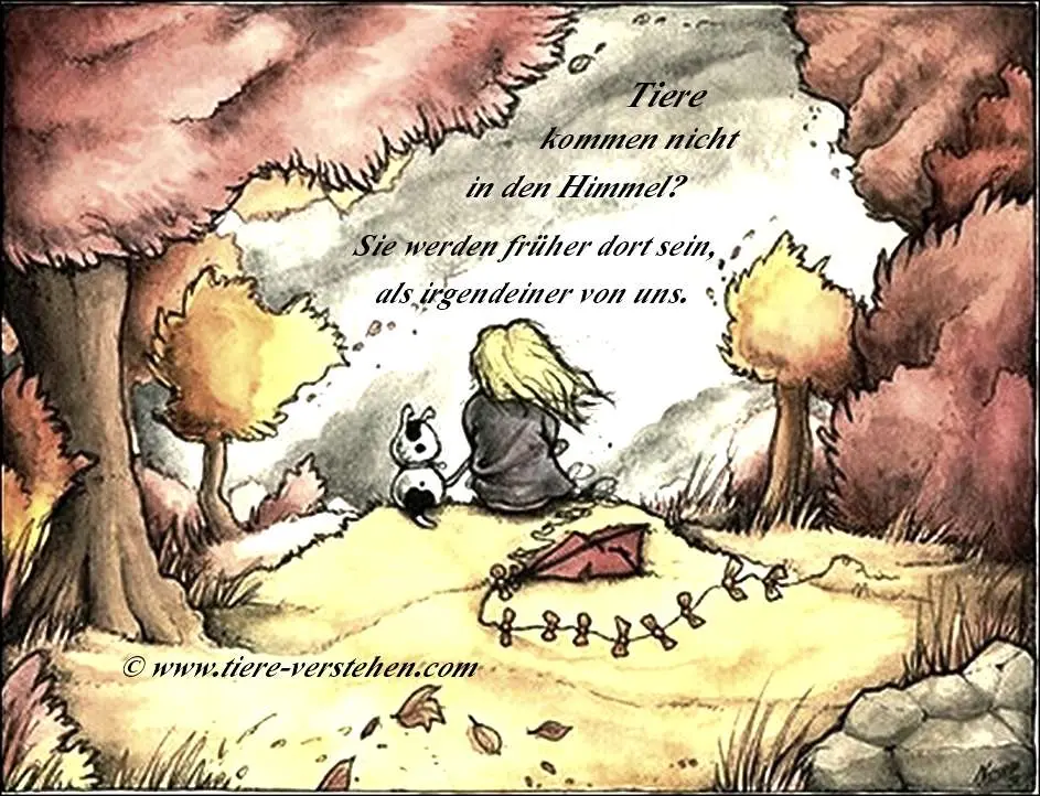 Condolence image of ❤️♥★ Gräuli ❤️ zum Gedenken - 5 Monate ★♥❤️