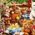 Condolence image of : ❤️♥★ Gräuli ❤️ zum Gedenken - 24 Wochen ★♥❤️