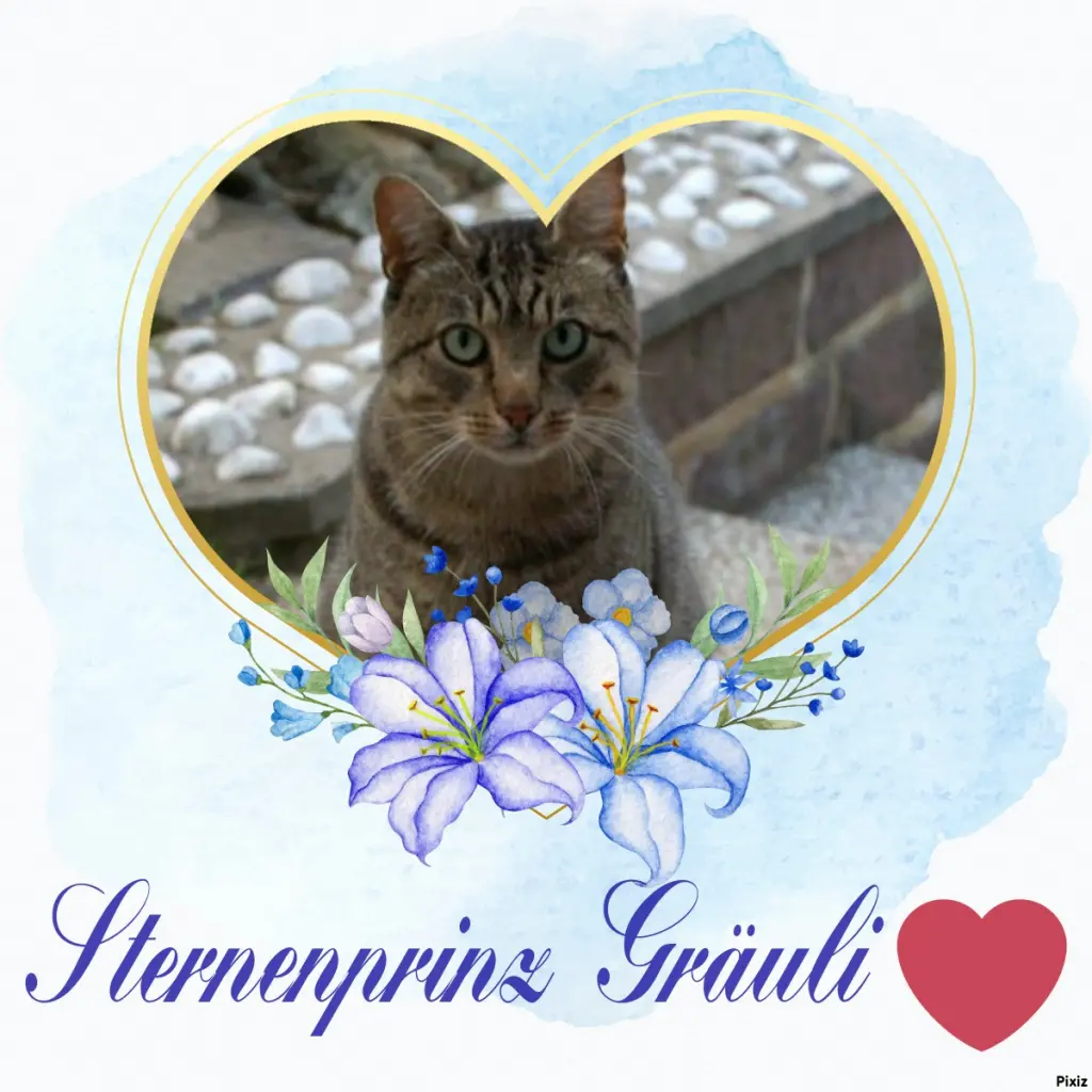 Condolence image of Tanja mit Timmy im Herzen 