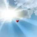 Condolence image of : ❤️♥★ Gräuli ❤️ zum Gedenken - 36 Wochen ★♥❤️