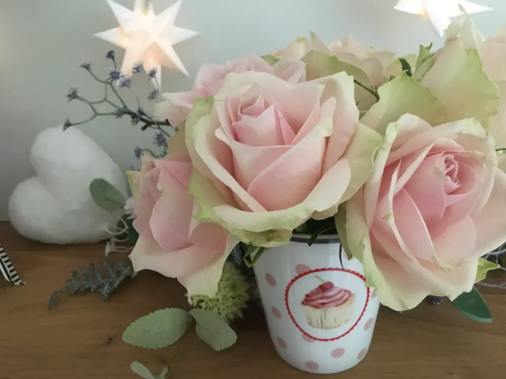 Condolence image of ❤️♥★ Gräuli ❤️ zum Gedenken - 41 Wochen ★♥❤️