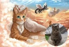 Condolence image of ❤️❤️❤️❤️❤️❤️❤️❤️❤️❤️❤️❤️
