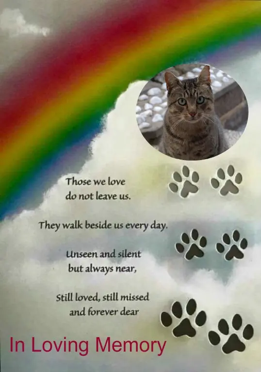 Condolence image of ❤️❤️❤️❤️❤️❤️❤️❤️❤️❤️❤️❤️