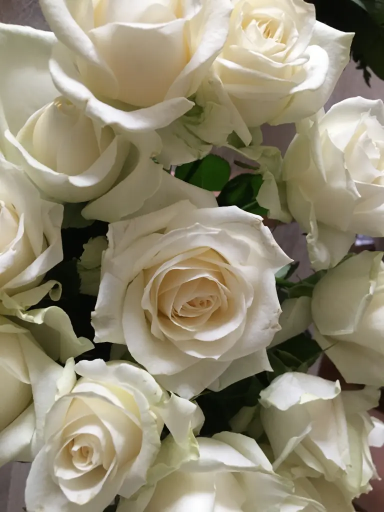 Condolence image of  ꧂  ღ╭⊱♥⊱❤️ Himmelspost von deiner Familie ❤️ ⊱♥⊱╮ღ꧁               