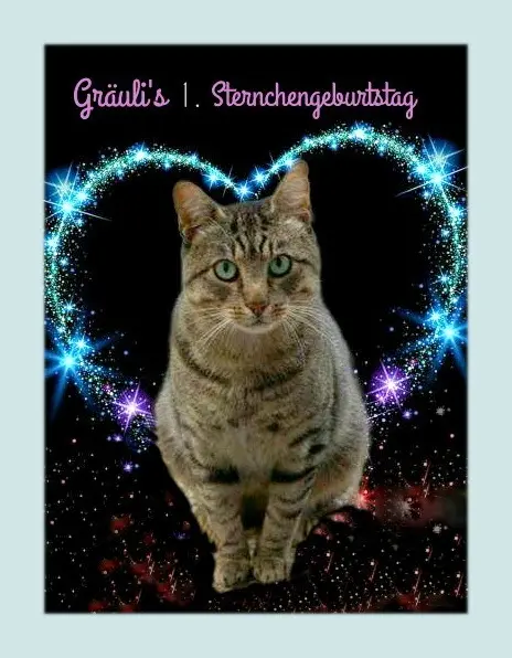 Condolence image of Gräuli's * 1. Sternchengeburtstag *