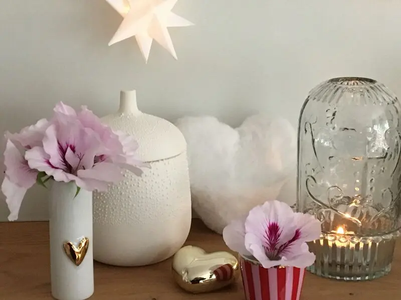 Condolence image of ❤️♥★ Gräuli ❤️ zum Gedenken - 20.10.2021 Rosengarten Badbergen ★♥❤️