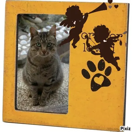 Condolence image of Tanja mit Timmy im Herzen