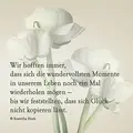 Condolence image of ❤️♥★ Gräuli ❤️ zum Gedenken - 13 Monate ★♥❤️