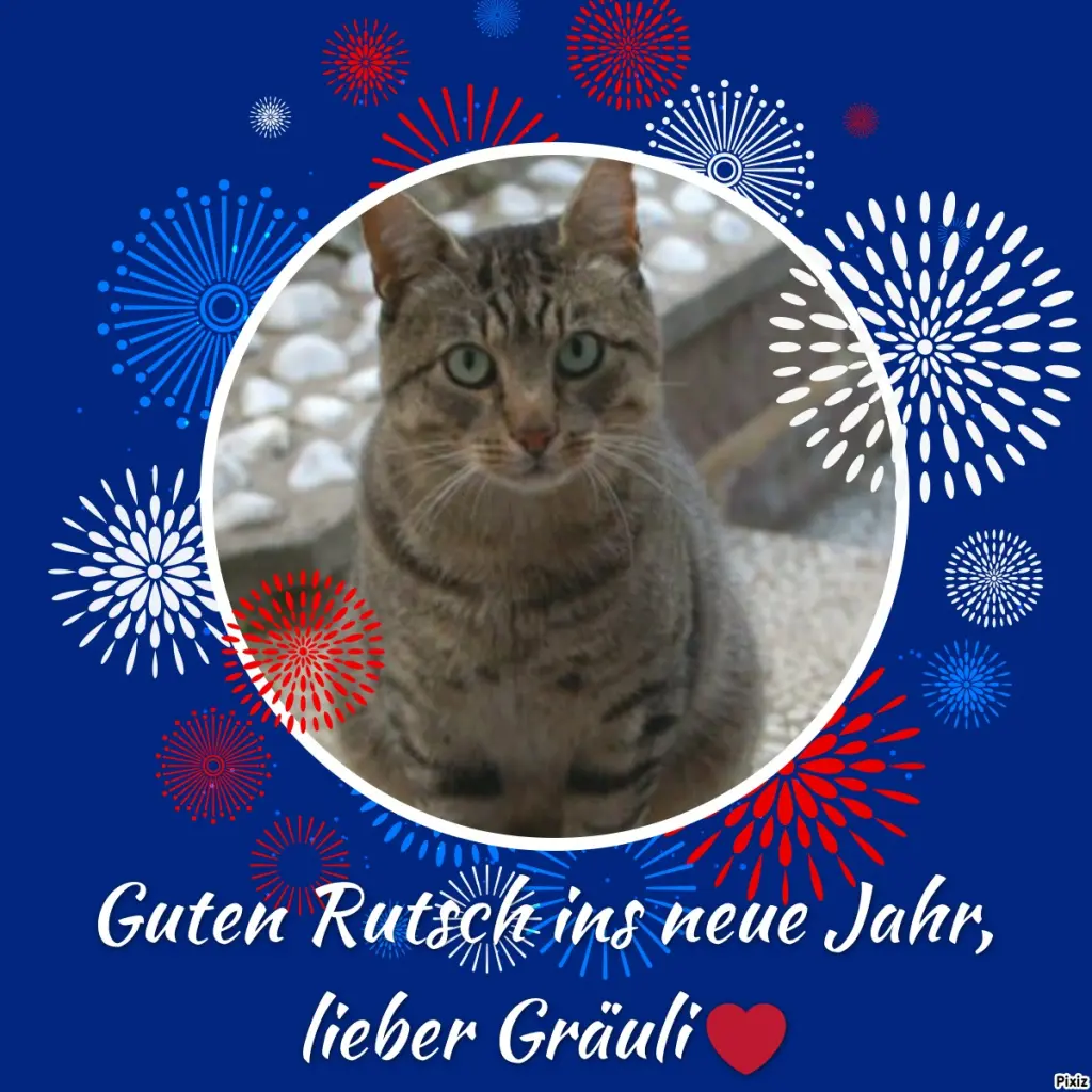 Condolence image of Timmys Mutti Tanja an Sternenprinz Gräuli ❤