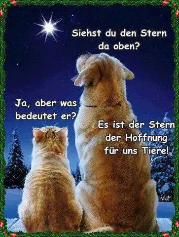 Condolence image of Deiner Anja die Dich Gräuli❤️ wahnsinnig vermisst