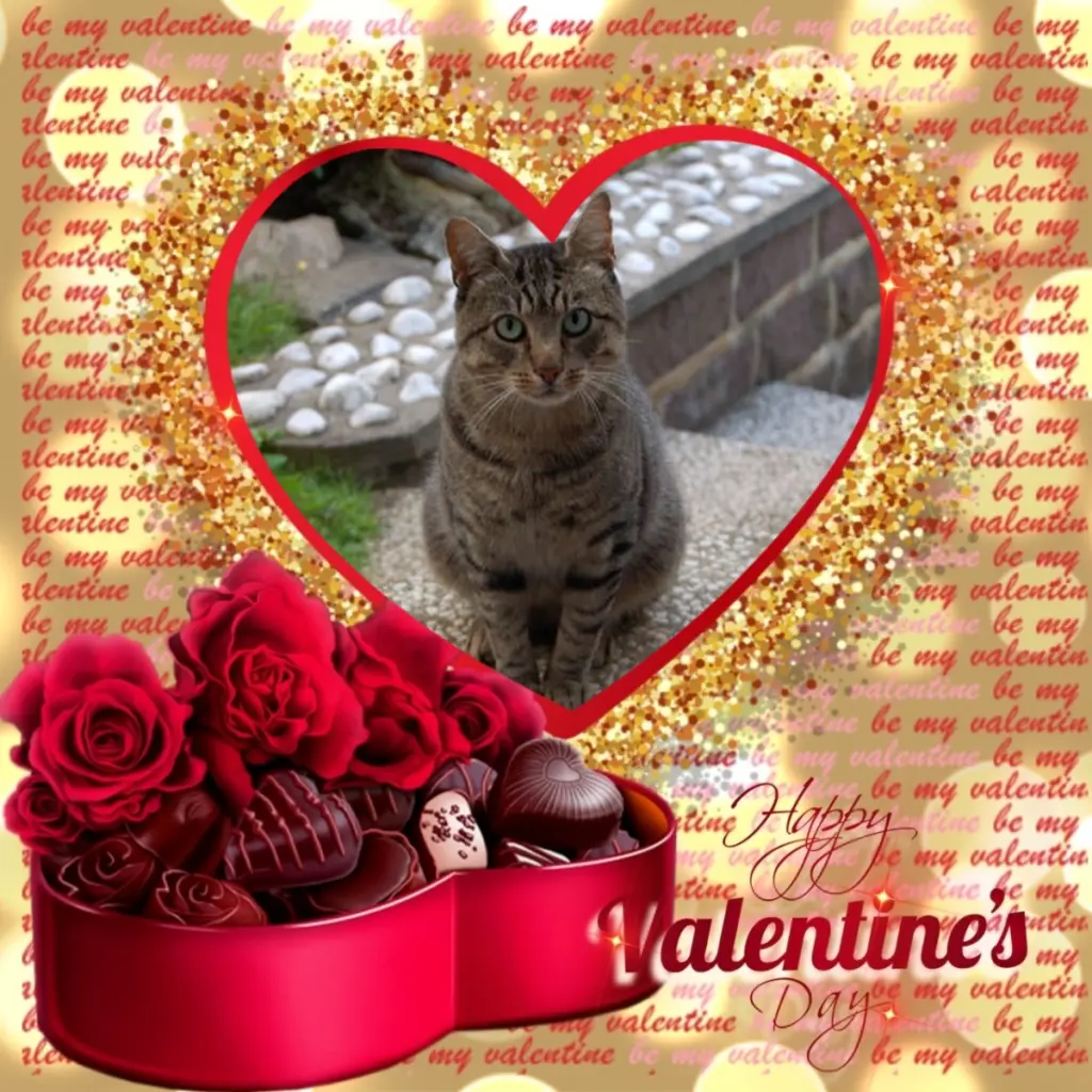 Condolence image of Valentins❤️Rosen❤️❤️❤️❤️❤️❤️❤️❤️