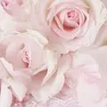 Condolence image of ❀ ´¯`*•.¸¸ ❀ SONNTAGSGRUSS ❀ ´¯`*•.¸¸ ❀