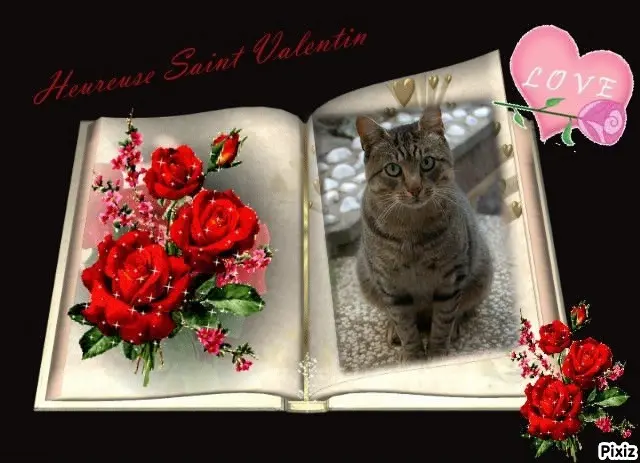 Condolence image of Timmys Mutti Tanja an Sternenprinz Gräuli ❤