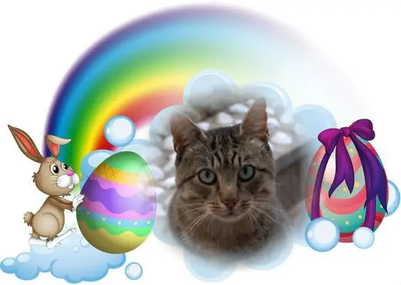Condolence image of Frohe❤️❤️❤️Ostern❤️